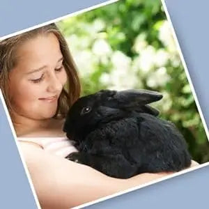 Rabbit Hutch with Run | Elevated Outdoor Bunny House with Ramp & Peak-Hinged Roof