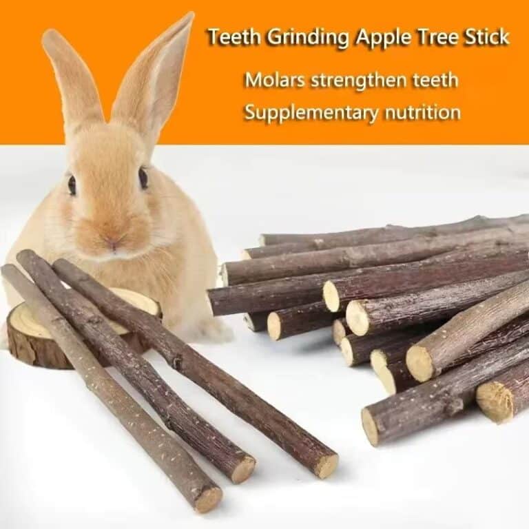 20 - 160pcs Rabbit Teeth Grinding Apple Tree Stick Minerals Molar Stone Toys Treats