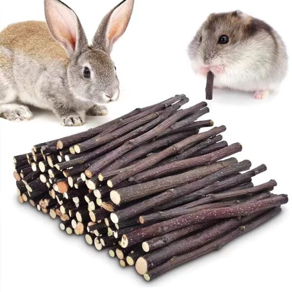 20 - 160pcs Rabbit Teeth Grinding Apple Tree Stick Minerals Molar Stone Toys Treats