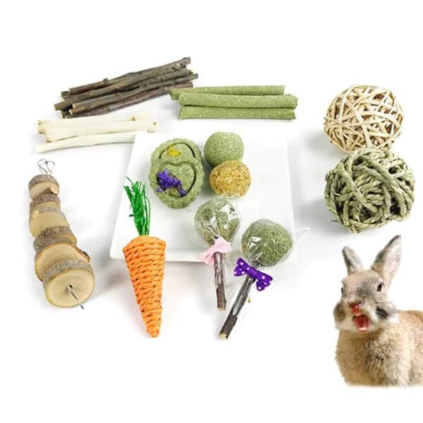 31Pcs Bunny Chew Toys Hay Treats Timothy Balls Bamboo Sticks Twigs Wood Blocks for Rabbit Teeth Cleaning