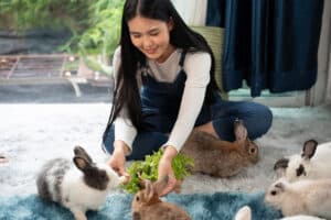 How to Make Your Rabbit Trust You - Rabbit Owner Tips
