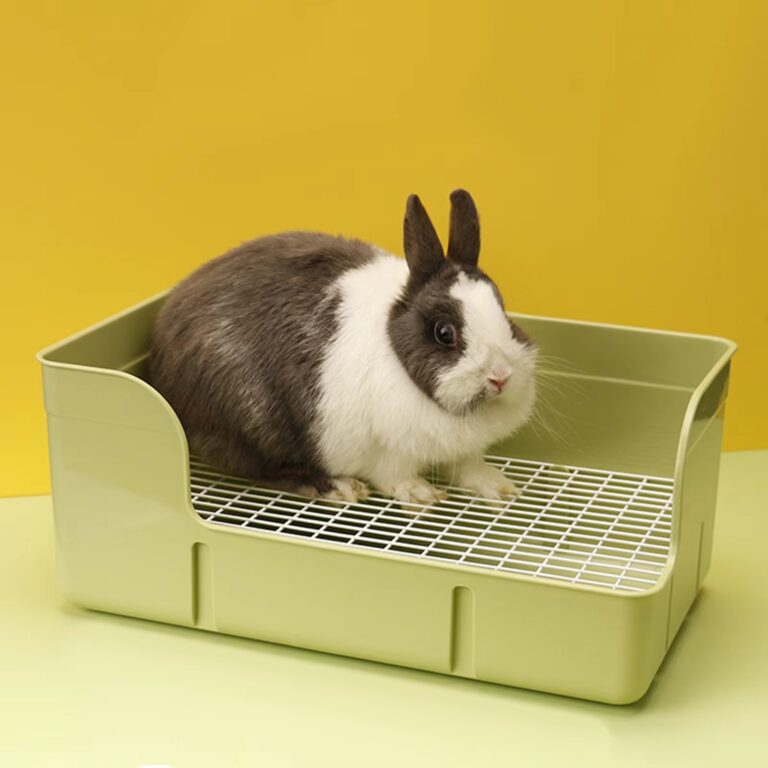Rabbit Litter Box with Anti-Splash Design