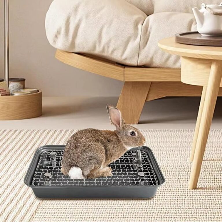 Stainless Steel Bunny Litter Box