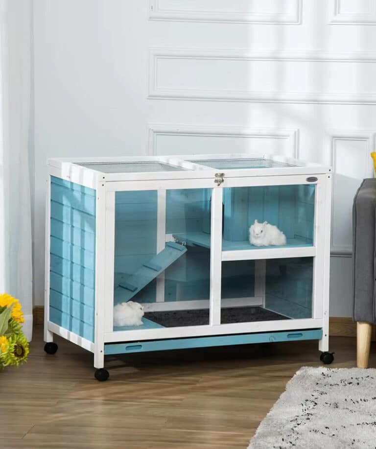 Best Indoor Rabbit Hutch