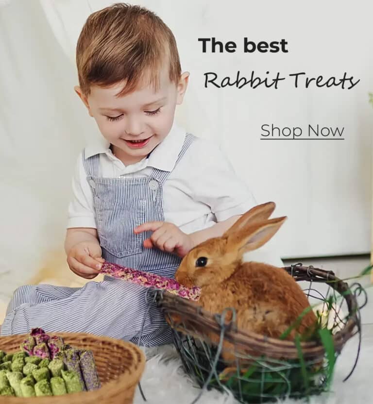 best snacks for rabbits