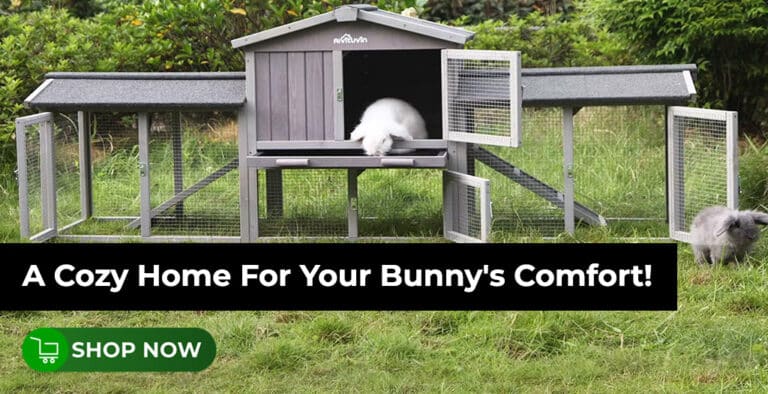 cheap bunny cages