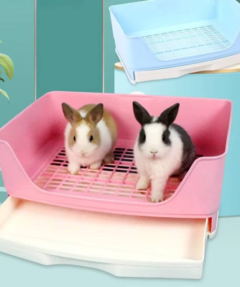 large litter box for rabbits