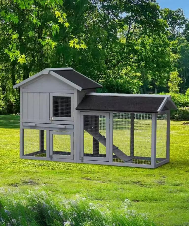 Rabbit Cage for Large Rabbits
