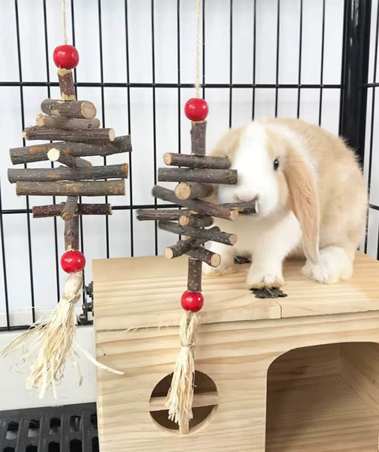rabbit toys and chews